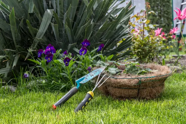 Dicas Simples para um Jardim Sustentável e Eco-Consciente