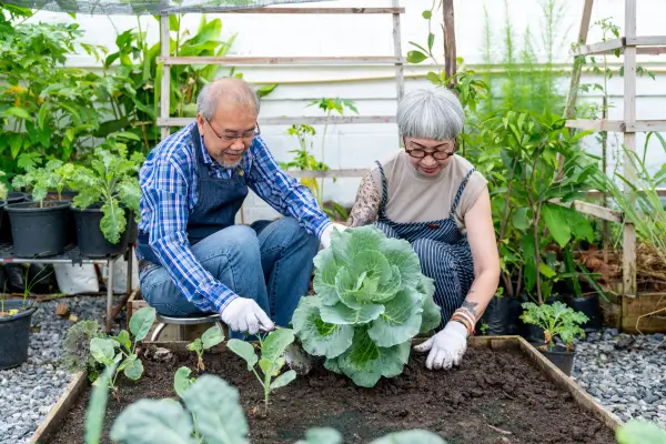 Horticultura Urbana e Bem-Estar: Conexão com a Natureza em Meio à Cidade